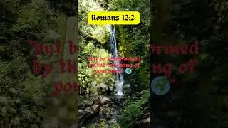 Renew Your Mind   #Romans12    #RenewMind   #TransformedLife