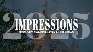 Впечатления от BAPS Сваминараян Акшардхам, Роббинсвилл, Нью-Джерси