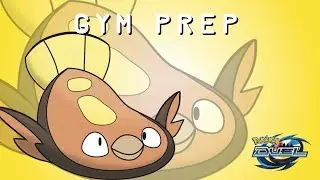POKEMON DUEL - GYM PREPARATION