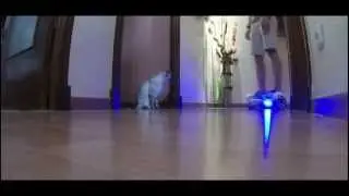 Self Balancing Auto equilibrio Monorober