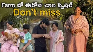 ఫామ్ లో ఈ రోజు చాలా స్పెషల్🥰🤩😍 #youtube #farmland #farmlife #farming #farmer #farm 
