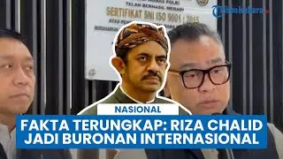 Fakta Terungkap! Alasan Riza Chalid Jadi Buronan Internasional, Lolos Asesmen Ketat Interpol