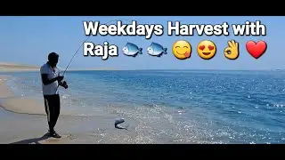Inland sea weekdays fishing trip