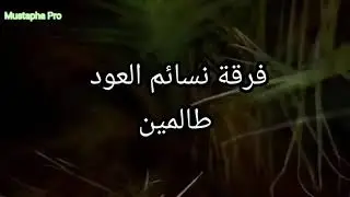 أغنية هذي بلادي طالمين لفرقة نسائم العود (طالمين)