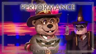 Magisch! Harry Otter verzaubert mit 