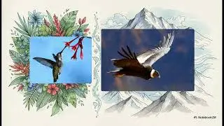 Рекорди та загадки Америки