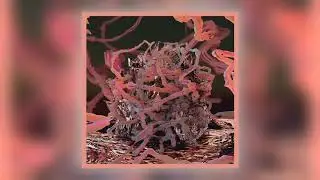 Bit-Tuner - Gramm [Audio]