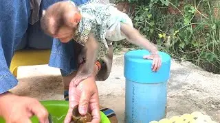 Wow!! The brave baby monkey  LIORA climbed onto her mother's arm to watch her clean the snails