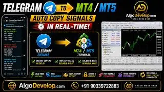 Telegram to MT4/MT5 Copier | Auto Copy Trading Signals