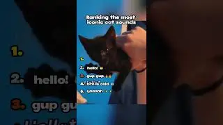 Ranking the most iconic cat sounds! 😸🐾