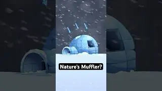 What makes snow so quiet?