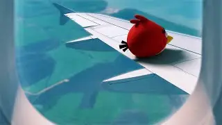 Angry Birds In Real Life