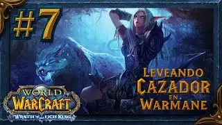 🏹LEVEANDO CAZADOR EN WARMANE #7 - &iexcl;SEGUIMOS POR TERRALLENDE! &iexcl;PERO CON MONTURA VOLADORA!🤣🐦🏹🐈