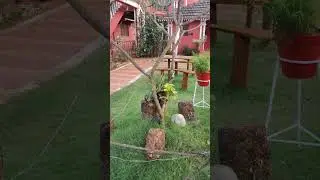 Beautiful and reasonable resort in goa 