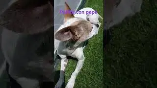 se viene lo bueno 😎😎