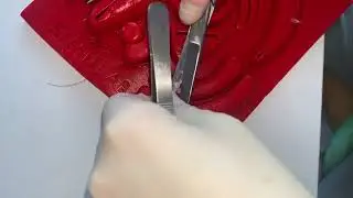 Mod 8: Scalp connective tissue closure- buried vertical mattress hand tie and instrument tie