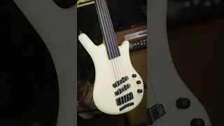 Warwick TeamBuilt Thumb BO Fretless Creme White | GPS1225 28AABOVA FL