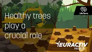 Healthy trees play a crucial role in mitigating climate change