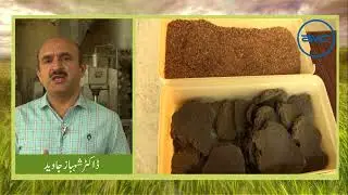 #narc #parc  Animal Feed Technology  | Animal feed ingredients | Animal Feed