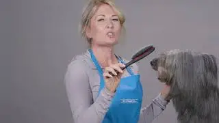 The Andreas Brush