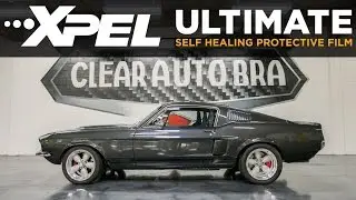 1967 Ford Mustang GT500 Full XPEL Clear Bra Wrap - Clear Auto Bra St.Louis