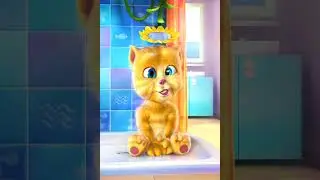 Talking Ginger app 