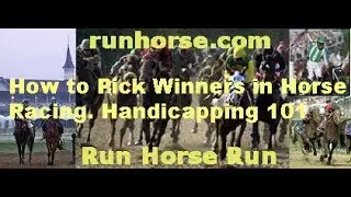 How To Pick Winners In Horse Racing. Handicapping 101. Part 1.