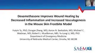 Dexamethasone Improves Wound Healing in Mouse Skin Frostbite Model
