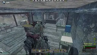 DayZ