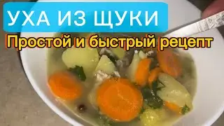 УХА ИЗ ЩУКИ / ПРОСТОЙ И БЫСТРЫЙ РЕЦЕПТ 