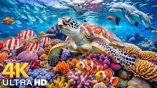 Amazing 4K Ocean Adventure - Dive Deep and Marvel at Sea Animal in The Best 4K ULTRA HD Aquarium #15