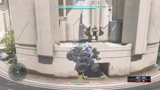 Absolute Gungoose Destruction