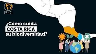 ¿Por qué es tan IMPORTANTE el cuidado de la BIODIVERSIDAD para COSTA RICA? / 🌐 Leyes Del Mundo