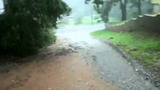 ayr street washout # 229
