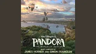 Pandora Walk Through