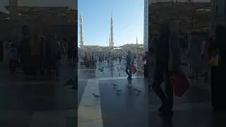 Masjid e Nabwi New Video