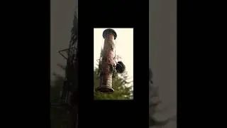 Bird feeder bully