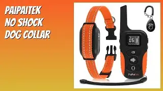 REVIEW (2026): PaiPaitek No Shock Dog Collar. Features