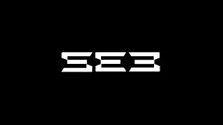 SEB [ DEMO REEL ] BRANDS #demo #reels #demoreels #branding #brands #design #designer