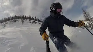 Surprise powder day in Tayton Bowl, Panorama, Feb 28, 2020