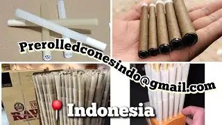 Prerolled cones , preroll tube. || 📍indonesia