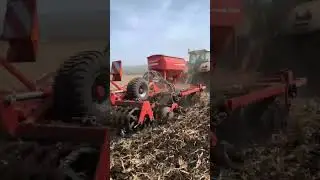 Horsch tiger с FertiProf вносим удобрения в 2 горизонта!!!