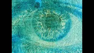 Cyanotype Eye Animation | Edd Carr