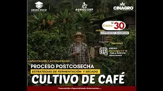 ESTRATEGIAS DE SECADO Y FERMENTACIÓN EN CAFÉ 2  - LUNES 12 ENERO