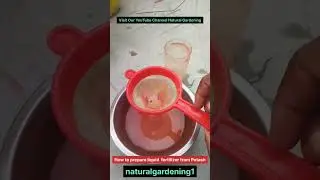 How to prepare liquid fertilizer from Potash #shorts #youtubeshorts  #fertilizer #liquidfertilizer