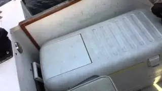 Лосось