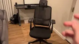 FLEXISPOT Ergonomic Office Chair Mesh Chair 3D Lumbar Support, Desk Chair Headrest 4D Armrest