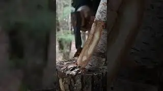 Off Grid Log Cabin In The Woods #shorts