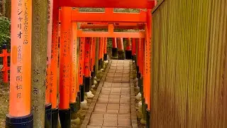 Japan 2024 Part 6. Kanazawa River and Fushimi Inari Taisha.