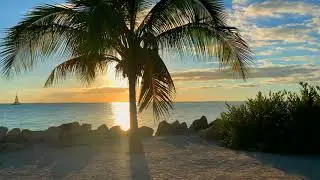 Beach Travel Stock Footage 4K | No Copyright Footage